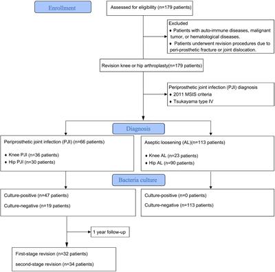 Significance of serum protein electrophoresis in the diagnosis of Tsukayama type IV periprosthetic joint infection